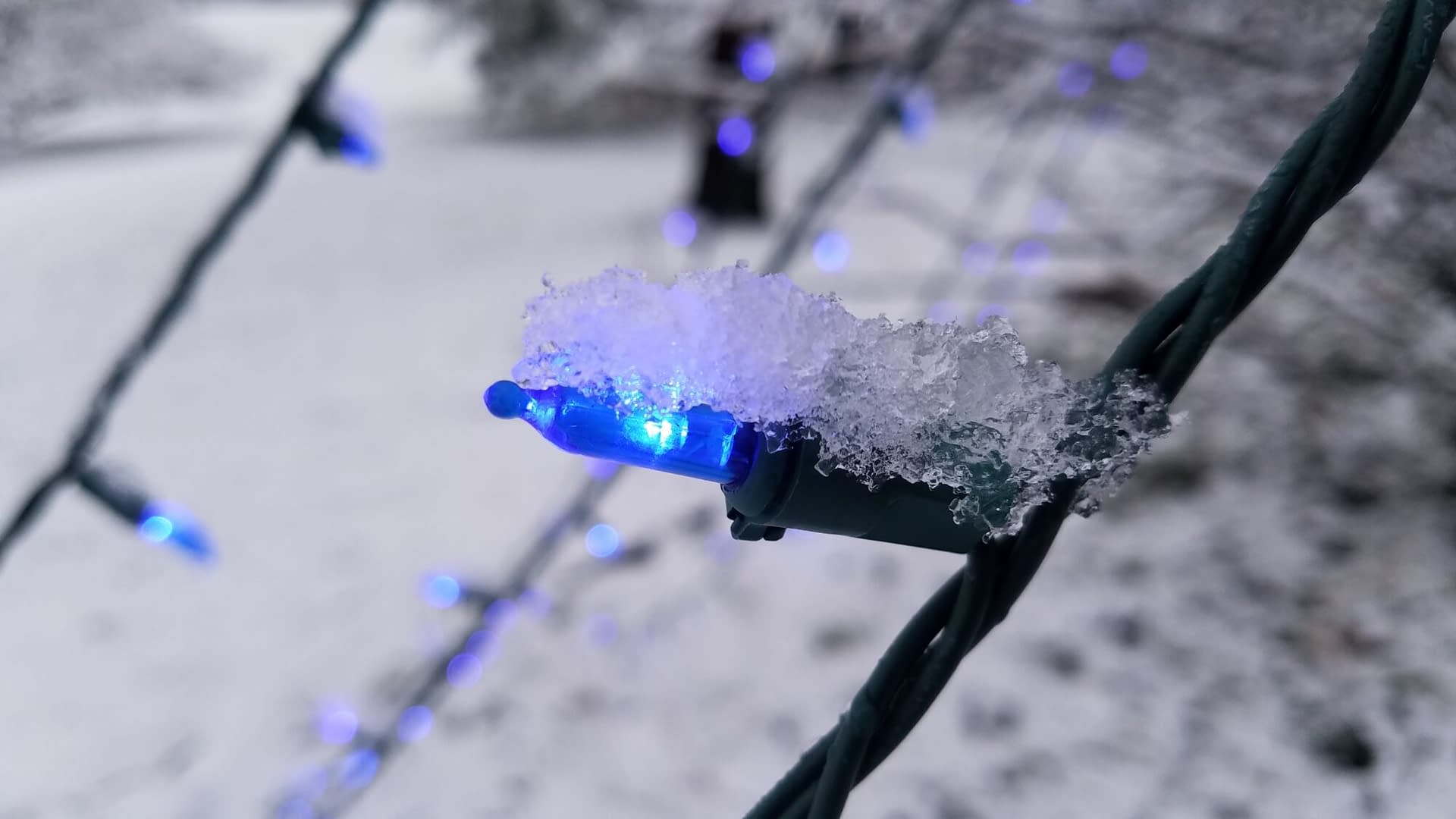 Lowell Light & Power and Lowell Rotary Team Up to Sponsor Holiday