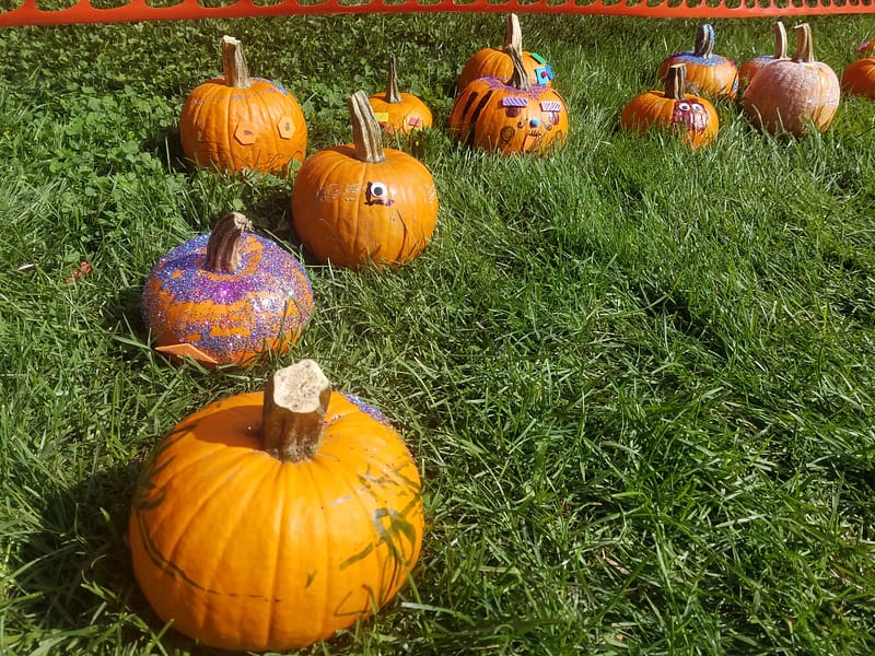 Scenes from Lowell: Fall Festivals Edition - Lowell's First Look