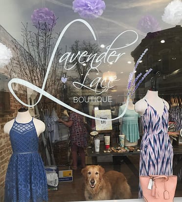Lavender and clearance lace boutique