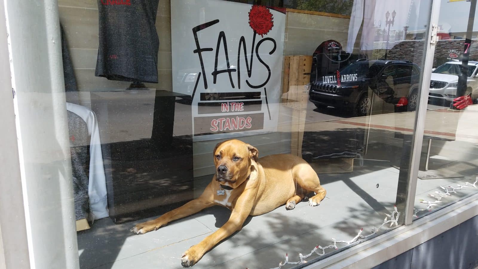 Fans in the Stands Provides Lowell with Custom Gear and More Lowell's