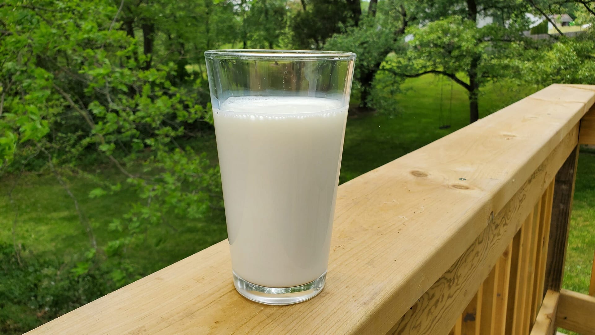 Dairy Discovery Plans Record Setting Event for World Milk Day Lowell